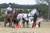 Photo n 45257&#10;CAT La Chevillonire JP Giraud - photovendee85.fr&#10;&#10;Affiche 28 fois&#10;Ajoute le 11/07/2018 13:29:55 par JeanClaudeGrognet&#10;&#10;--> Cliquer pour agrandir <--