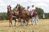 Photo n 45258&#10;CAT La Chevillonire JP Giraud - photovendee85.fr&#10;&#10;Affiche 22 fois&#10;Ajoute le 11/07/2018 13:29:55 par JeanClaudeGrognet&#10;&#10;--> Cliquer pour agrandir <--