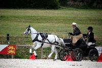 Photo n 45358&#10;CAI LE PIN 2018. Photo Nadine TOUDIC&#10;Chris AINSCOUGH. GBR&#10;Affiche 13 fois&#10;Ajoute le 02/08/2018 19:30:23 par Nadinetoudic&#10;&#10;--> Cliquer pour agrandir <--