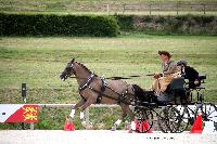 Photo n 45360&#10;CAI LE PIN 2018. Photo Nadine TOUDIC&#10;Chantalle BOOGAARTS. NED&#10;Affiche 24 fois&#10;Ajoute le 02/08/2018 19:30:23 par Nadinetoudic&#10;&#10;--> Cliquer pour agrandir <--