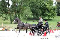 Photo n 45365&#10;CAI LE PIN 2018. Photo Nadine TOUDIC&#10;Robert BUCK. GBR&#10;Affiche 18 fois&#10;Ajoute le 02/08/2018 19:30:23 par Nadinetoudic&#10;&#10;--> Cliquer pour agrandir <--