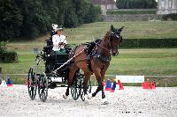 Photo n 45388&#10;CAI LE PIN 2018. Photo Nadine TOUDIC&#10;Karen SCOTT-BARRETT. GBR&#10;Affiche 13 fois&#10;Ajoute le 03/08/2018 17:07:59 par Nadinetoudic&#10;&#10;--> Cliquer pour agrandir <--