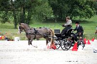 Photo n 45400&#10;CAI LE PIN 2018. Photo Nadine TOUDIC&#10;Robert BUCK. GBR&#10;Affiche 14 fois&#10;Ajoute le 03/08/2018 17:08:00 par Nadinetoudic&#10;&#10;--> Cliquer pour agrandir <--