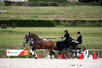 Photo n 45406&#10;CAI LE PIN 2018. Photo Nadine TOUDIC&#10;Joanna CHARLESWORTH. GBR&#10;Affiche 8 fois&#10;Ajoute le 03/08/2018 18:55:19 par Nadinetoudic&#10;&#10;--> Cliquer pour agrandir <--