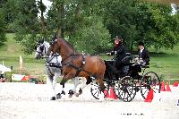 Photo n 45407&#10;CAI LE PIN 2018. Photo Nadine TOUDIC&#10;Joanna CHARLESWORTH. GBR&#10;Affiche 16 fois&#10;Ajoute le 03/08/2018 18:55:19 par Nadinetoudic&#10;&#10;--> Cliquer pour agrandir <--