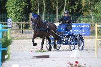Photo n 45613&#10;Rosires aux Salines photo Anne Sophie Azzos-IFCE&#10;&#10;Affiche 14 fois&#10;Ajoute le 11/08/2018 19:39:59 par JeanClaudeGrognet&#10;&#10;--> Cliquer pour agrandir <--