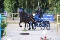 Photo n° 45613
Rosières aux Salines photo Anne Sophie Azzos-IFCE

Affichée 11 fois
Ajoutée le 11/08/2018 19:39:59 par JeanClaudeGrognet

--> Cliquer pour agrandir <--