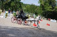 Photo n 45616&#10;Rosires aux Salines photo Anne Sophie Azzos-IFCE&#10;&#10;Affiche 11 fois&#10;Ajoute le 11/08/2018 19:39:59 par JeanClaudeGrognet&#10;&#10;--> Cliquer pour agrandir <--
