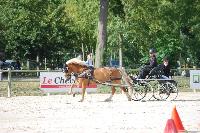 Photo n 45618&#10;Rosires aux Salines photo Anne Sophie Azzos-IFCE&#10;&#10;Affiche 9 fois&#10;Ajoute le 11/08/2018 19:39:59 par JeanClaudeGrognet&#10;&#10;--> Cliquer pour agrandir <--