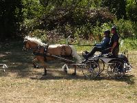 Photo n 45631&#10;&#10;Patrick Wattebled&#10;Affiche 19 fois&#10;Ajoute le 12/08/2018 13:02:33 par JeanClaudeGrognet&#10;&#10;--> Cliquer pour agrandir <--
