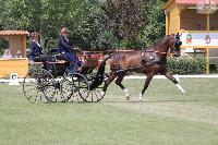 Photo n 45641&#10;KISBER-ASZAR CH-EU-A Youth photo Cseh-Lakos Ilona&#10;Marie Tischer (Ger)&#10;Affiche 48 fois&#10;Ajoute le 18/08/2018 08:31:57 par JeanClaudeGrognet&#10;&#10;--> Cliquer pour agrandir <--