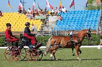 Photo n 45645&#10;KISBER-ASZAR CH-EU-A Youth photo Cseh-Lakos Ilona&#10;Peter Juhasz (Hun)&#10;Affiche 10 fois&#10;Ajoute le 18/08/2018 08:31:58 par JeanClaudeGrognet&#10;&#10;--> Cliquer pour agrandir <--