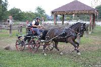 Photo n 45646&#10;KISBER-ASZAR CH-EU 2018&#10;Severin Baldauf (Aut)&#10;Affiche 27 fois&#10;Ajoute le 19/08/2018 09:37:00 par JeanClaudeGrognet&#10;&#10;--> Cliquer pour agrandir <--