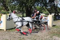 Photo n 45647&#10;KISBER-ASZAR CH-EU 2018&#10;Jan Godek (pol)&#10;Affiche 19 fois&#10;Ajoute le 19/08/2018 09:37:00 par JeanClaudeGrognet&#10;&#10;--> Cliquer pour agrandir <--
