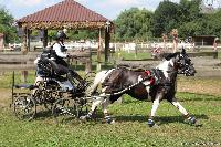 Photo n 45649&#10;KISBER-ASZAR CH-EU 2018&#10;Colette Holdssworth (Gbr)&#10;Affiche 15 fois&#10;Ajoute le 19/08/2018 09:37:00 par JeanClaudeGrognet&#10;&#10;--> Cliquer pour agrandir <--