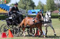 Photo n 45652&#10;KISBER-ASZAR CH-EU 2018&#10;Richard Aszodi (Hun)&#10;Affiche 17 fois&#10;Ajoute le 20/08/2018 08:20:46 par JeanClaudeGrognet&#10;&#10;--> Cliquer pour agrandir <--