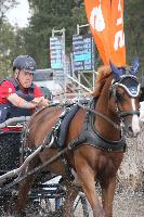 Photo n 45987&#10;KRONENBERG 2018 CdM -photo Hlne Leclerc&#10; LEHRTER Heiner (Ger)&#10;Affiche 17 fois&#10;Ajoute le 01/09/2018 21:48:14 par JeanClaudeGrognet&#10;&#10;--> Cliquer pour agrandir <--