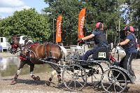Photo n 45989&#10;KRONENBERG 2018 CdM -photo Hlne Leclerc&#10;MCNICOL Joanne (Gbr)&#10;Affiche 14 fois&#10;Ajoute le 01/09/2018 21:48:14 par JeanClaudeGrognet&#10;&#10;--> Cliquer pour agrandir <--