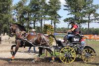Photo n 45991&#10;KRONENBERG 2018 CdM -photo Hlne Leclerc&#10;RDER Alexandra (Ger)&#10;Affiche 15 fois&#10;Ajoute le 01/09/2018 21:48:14 par JeanClaudeGrognet&#10;&#10;--> Cliquer pour agrandir <--