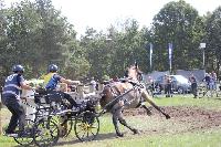 Photo n 45995&#10;KRONENBERG 2018 CdM -photo Hlne Leclerc&#10;SDERQVIST Karin (Swe)&#10;Affiche 17 fois&#10;Ajoute le 01/09/2018 21:48:14 par JeanClaudeGrognet&#10;&#10;--> Cliquer pour agrandir <--