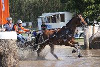 Photo n 45997&#10;KRONENBERG 2018 CdM -photo Hlne Leclerc&#10; VAN DER VEGT Frank (Ned)&#10;Affiche 13 fois&#10;Ajoute le 01/09/2018 21:48:14 par JeanClaudeGrognet&#10;&#10;--> Cliquer pour agrandir <--