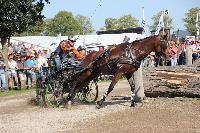 Photo n 45998&#10;KRONENBERG 2018 CdM -photo Hlne Leclerc&#10; VAN DER VEGT Frank (Ned)&#10;Affiche 7 fois&#10;Ajoute le 01/09/2018 21:48:14 par JeanClaudeGrognet&#10;&#10;--> Cliquer pour agrandir <--