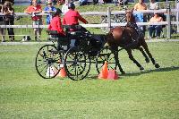 Photo n 46002&#10;KRONENBERG 2018 CdM photo Hlne Leclerc&#10;&#10;Affiche 12 fois&#10;Ajoute le 03/09/2018 10:03:57 par JeanClaudeGrognet&#10;&#10;--> Cliquer pour agrandir <--
