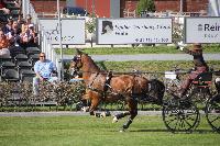 Photo n 46008&#10;KRONENBERG 2018 CdM photo Hlne Leclerc&#10;&#10;Affiche 18 fois&#10;Ajoute le 03/09/2018 10:03:58 par JeanClaudeGrognet&#10;&#10;--> Cliquer pour agrandir <--
