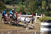 Photo n° 46127
Champ.de Normandie. EVREUX 2018. Photo N. TOUDIC
Grégory BARDIN
Affichée 7 fois
Ajoutée le 07/09/2018 09:50:18 par Nadinetoudic

--> Cliquer pour agrandir <--