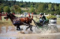 Photo n 46132&#10;Champ.de Normandie. EVREUX 2018. Photo N. TOUDIC&#10;Emilie LELARD&#10;Affiche 13 fois&#10;Ajoute le 07/09/2018 09:50:18 par Nadinetoudic&#10;&#10;--> Cliquer pour agrandir <--