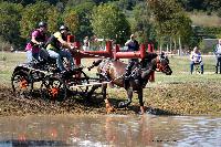 Photo n 46133&#10;Champ.de Normandie. EVREUX 2018. Photo N. TOUDIC&#10;Pierre BLOTTIN&#10;Affiche 13 fois&#10;Ajoute le 07/09/2018 09:50:18 par Nadinetoudic&#10;&#10;--> Cliquer pour agrandir <--