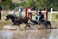 Photo n 46135&#10;Champ.de Normandie. EVREUX 2018. Photo N. TOUDIC&#10;Pierre BLOTTIN&#10;Affiche 6 fois&#10;Ajoute le 07/09/2018 09:50:18 par Nadinetoudic&#10;&#10;--> Cliquer pour agrandir <--