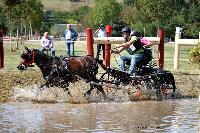 Photo n° 46135
Champ.de Normandie. EVREUX 2018. Photo N. TOUDIC
Pierre BLOTTIN
Affichée 3 fois
Ajoutée le 07/09/2018 09:50:18 par Nadinetoudic

--> Cliquer pour agrandir <--