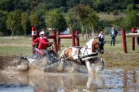 Photo n 46137&#10;Champ.de Normandie. EVREUX 2018. Photo N. TOUDIC&#10;Sophie DE LONGCAMP&#10;Affiche 57 fois&#10;Ajoute le 07/09/2018 09:50:18 par Nadinetoudic&#10;&#10;--> Cliquer pour agrandir <--