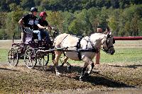 Photo n° 46144
Champ. de Normandie. EVREUX 2018. Photo N. TOUDIC
Anthony MARTIN
Affichée 11 fois
Ajoutée le 07/09/2018 15:06:15 par Nadinetoudic

--> Cliquer pour agrandir <--