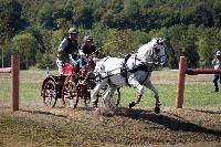 Photo n 46145&#10;Champ. de Normandie. EVREUX 2018. Photo N. TOUDIC&#10;Nathalie MARTY&#10;Affiche 15 fois&#10;Ajoute le 07/09/2018 15:06:15 par Nadinetoudic&#10;&#10;--> Cliquer pour agrandir <--