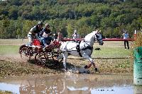 Photo n 46146&#10;Champ. de Normandie. EVREUX 2018. Photo N. TOUDIC&#10;Nathalie MARTY&#10;Affiche 11 fois&#10;Ajoute le 07/09/2018 15:06:15 par Nadinetoudic&#10;&#10;--> Cliquer pour agrandir <--