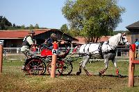 Photo n 46147&#10;Champ. de Normandie. EVREUX 2018. Photo N. TOUDIC&#10;Nathalie MARTY&#10;Affiche 11 fois&#10;Ajoute le 07/09/2018 15:06:15 par Nadinetoudic&#10;&#10;--> Cliquer pour agrandir <--