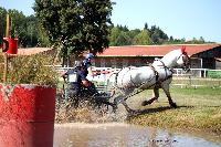 Photo n° 46149
Champ. de Normandie. EVREUX 2018. Photo N. TOUDIC
Aline JOUIN MASSON
Affichée 31 fois
Ajoutée le 07/09/2018 15:06:15 par Nadinetoudic

--> Cliquer pour agrandir <--