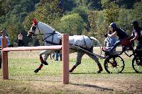 Photo n 46150&#10;Champ. de Normandie. EVREUX 2018. Photo N. TOUDIC&#10;Aline JOUIN MASSON&#10;Affiche 25 fois&#10;Ajoute le 07/09/2018 15:06:15 par Nadinetoudic&#10;&#10;--> Cliquer pour agrandir <--