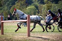 Photo n° 46150
Champ. de Normandie. EVREUX 2018. Photo N. TOUDIC
Aline JOUIN MASSON
Affichée 22 fois
Ajoutée le 07/09/2018 15:06:15 par Nadinetoudic

--> Cliquer pour agrandir <--