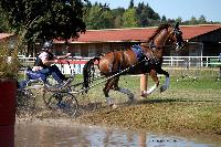 Photo n 46153&#10;Champ. de Normandie. EVREUX 2018. Photo N. TOUDIC&#10;Daniel DEFEZ&#10;Affiche 13 fois&#10;Ajoute le 07/09/2018 15:06:15 par Nadinetoudic&#10;&#10;--> Cliquer pour agrandir <--
