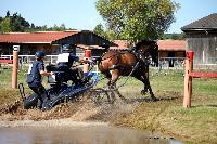 Photo n 46154&#10;Champ. de Normandie. EVREUX 2018. Photo N. TOUDIC&#10;Catherine MOUILLADE&#10;Affiche 10 fois&#10;Ajoute le 07/09/2018 15:06:15 par Nadinetoudic&#10;&#10;--> Cliquer pour agrandir <--