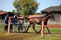 Photo n 46156&#10;Champ. de Normandie. EVREUX 2018. Photo N. TOUDIC&#10;Catherine MOUILLADE&#10;Affiche 8 fois&#10;Ajoute le 07/09/2018 15:06:16 par Nadinetoudic&#10;&#10;--> Cliquer pour agrandir <--