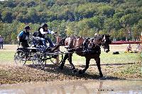 Photo n 46157&#10;Champ. de Normandie. EVREUX 2018. Photo N. TOUDIC&#10;Laurence PATRAS&#10;Affiche 11 fois&#10;Ajoute le 07/09/2018 15:06:16 par Nadinetoudic&#10;&#10;--> Cliquer pour agrandir <--