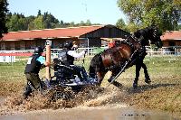 Photo n 46158&#10;Champ. de Normandie. EVREUX 2018. Photo N. TOUDIC&#10;Laurence PATRAS&#10;Affiche 12 fois&#10;Ajoute le 07/09/2018 15:06:16 par Nadinetoudic&#10;&#10;--> Cliquer pour agrandir <--