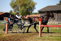 Photo n 46159&#10;Champ. de Normandie. EVREUX 2018. Photo N. TOUDIC&#10;Laurence PATRAS&#10;Affiche 52 fois&#10;Ajoute le 07/09/2018 15:06:16 par Nadinetoudic&#10;&#10;--> Cliquer pour agrandir <--