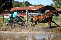 Photo n 46160&#10;Champ. de Normandie. EVREUX 2018. Photo N. TOUDIC&#10;Yves GIBON&#10;Affiche 16 fois&#10;Ajoute le 07/09/2018 15:06:16 par Nadinetoudic&#10;&#10;--> Cliquer pour agrandir <--