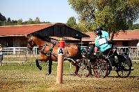 Photo n 46161&#10;Champ. de Normandie. EVREUX 2018. Photo N. TOUDIC&#10;Yves GIBON&#10;Affiche 11 fois&#10;Ajoute le 07/09/2018 15:06:16 par Nadinetoudic&#10;&#10;--> Cliquer pour agrandir <--