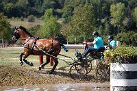 Photo n 46162&#10;Champ. de Normandie. EVREUX 2018. Photo N. TOUDIC&#10;Yves GIBON&#10;Affiche 15 fois&#10;Ajoute le 07/09/2018 15:06:16 par Nadinetoudic&#10;&#10;--> Cliquer pour agrandir <--